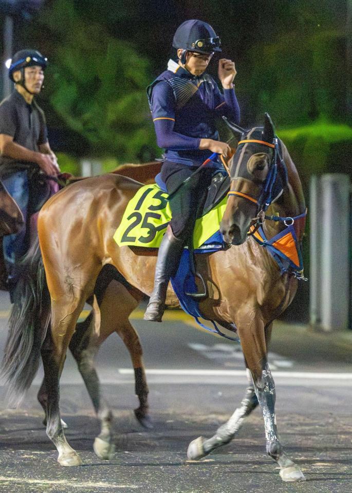 　無傷２連勝で重賞獲りを狙うビスケットサンド
