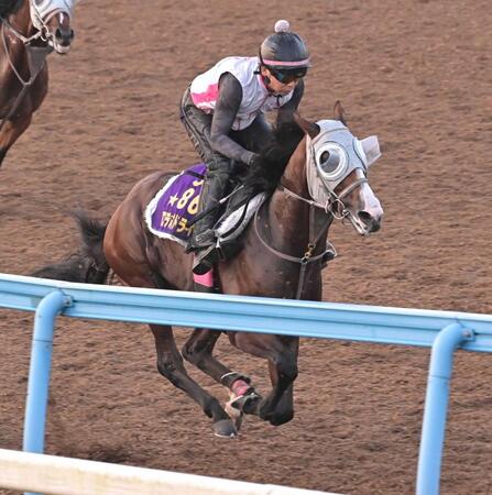 　美浦Ｗで追い切るロデオドライブ（撮影・持木克友）