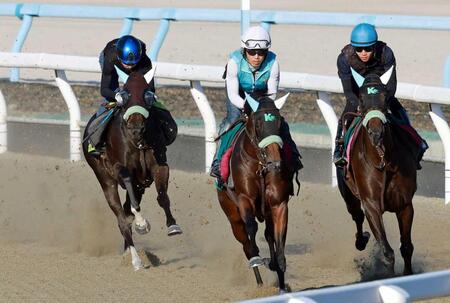　栗東ＤＰで追い切るジーティーマイカ（左）＝撮影・石湯恒介