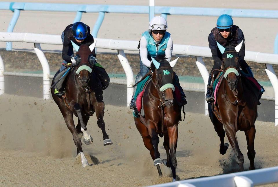 　栗東ＤＰで追い切るジーティーマイカ（左）＝撮影・石湯恒介