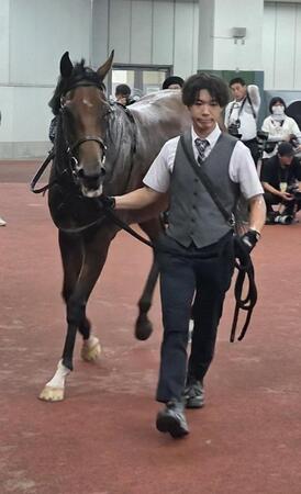 デビュー戦を飾ったビンチャリ