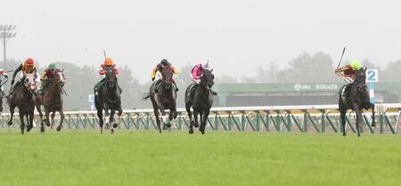 内を突いたゾロアストロ（右端）。左端はロデオドライブ、左から３頭目はダノンシーマ