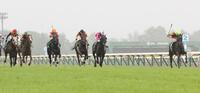 内を突いたゾロアストロ（右端）。左端はロデオドライブ、左から３頭目はダノンシーマ