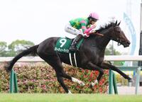 中京２歳Ｓを制したジーティーマイカ