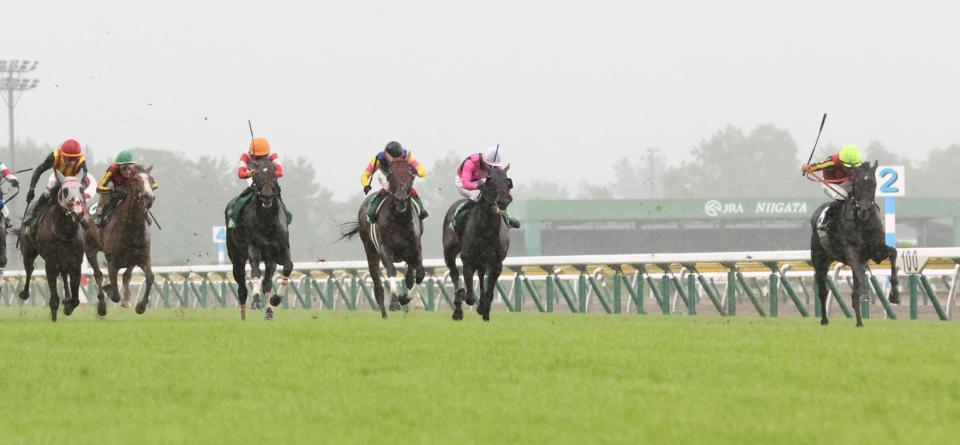 内を突いたゾロアストロ（右端）。左端はロデオドライブ、左から３頭目はダノンシーマ