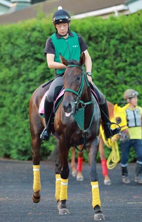 　重賞初Ｖへ意気込むリアライズルミナス（撮影・石湯恒介）