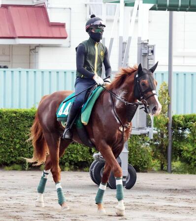 来春のクラシックをにらむノヴァヴェローチェ（撮影・佐々木彰尚）