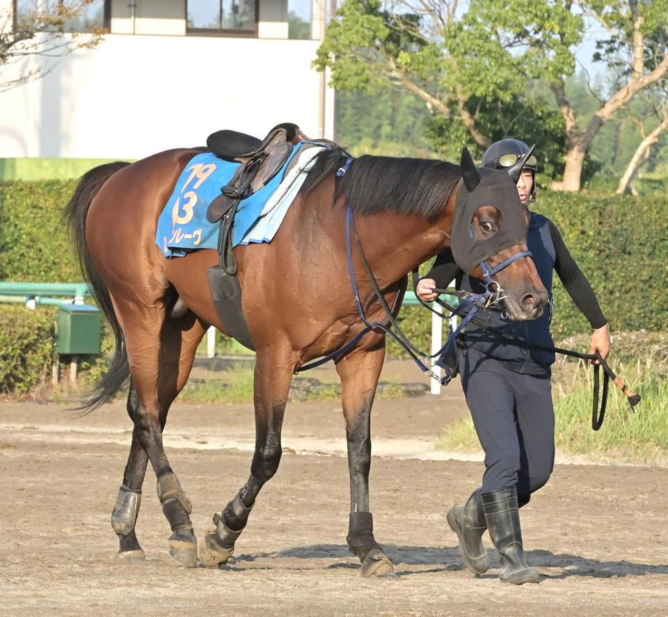 秋の始動戦を迎えるレッドモンレ-ヴ