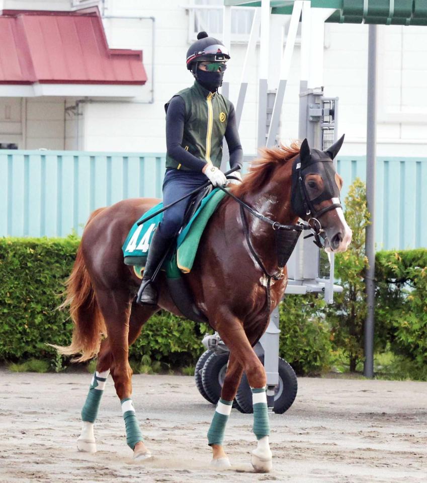 来春のクラシックをにらむノヴァヴェローチェ（撮影・佐々木彰尚）