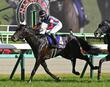 ２冠馬ロブチェンが神戸新聞杯へ２週前追い切り　松山は好感触「ロブチェンの良さがあった。いいリフレッシュして帰ってきてくれた」
