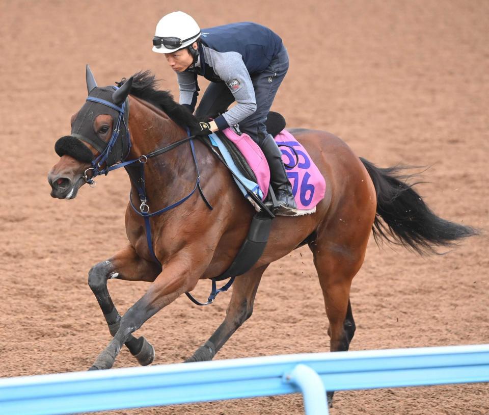 　好調シスキン産駒の期待馬マスターソアラ
