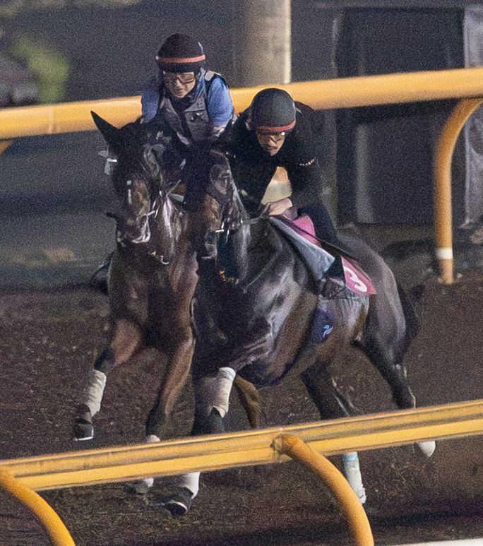 　重賞３連勝で夏のスプリント王の座をものにしたいピューロマジック
