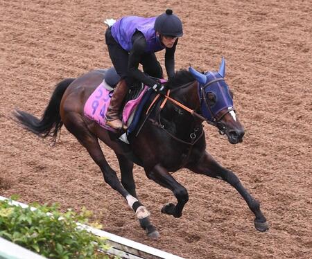 　美浦坂路を軽快に駆け上がったドリームコア（撮影・園田高夫）
