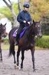 【札幌＆阪神＆中山の危険な人気馬】フォルテアンジェロ　中山11Ｒ・京成杯ＡＨ