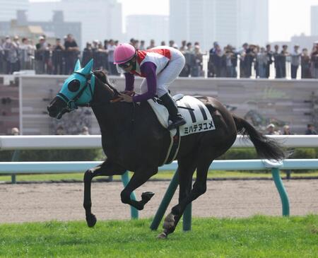 札幌２Ｒを制したミハテヌユメ＝札幌（撮影・佐々木彰尚）