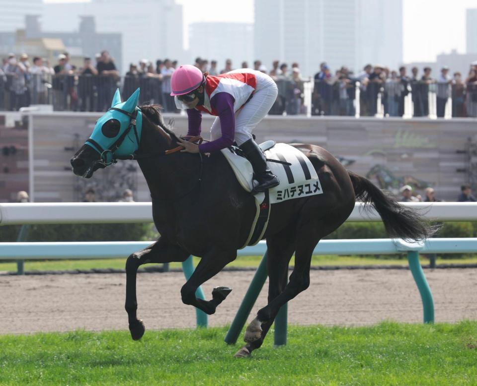 札幌２Ｒを制したミハテヌユメ＝札幌（撮影・佐々木彰尚）