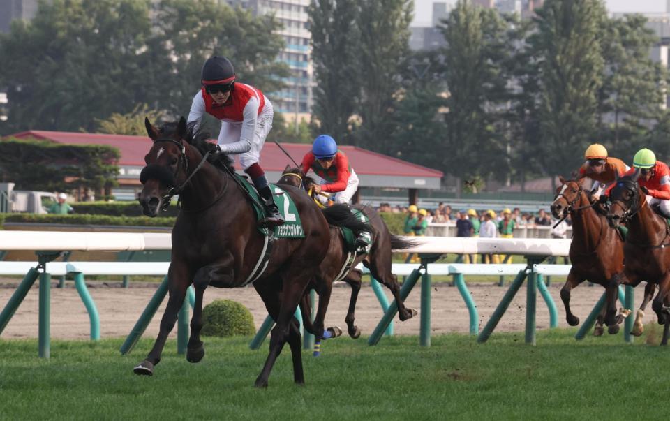札幌２歳Ｓを制したショウナンガレオン（撮影・佐々木彰尚）