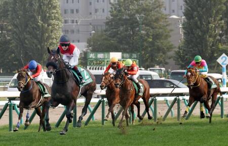 　ライバルを圧倒したショウナンガレオン（手前左）＝撮影・佐々木彰尚