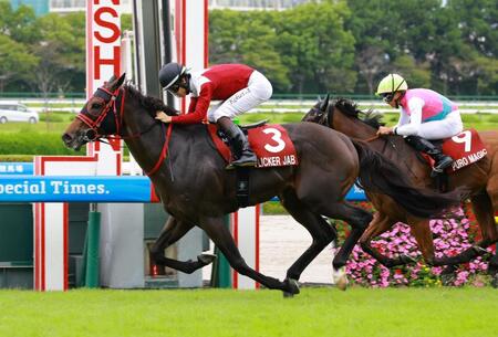 セントウルＳを制したフリッカージャブ（撮影・石湯恒介）