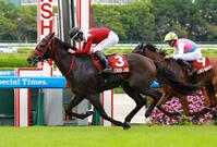 セントウルＳを制したフリッカージャブ（撮影・石湯恒介）