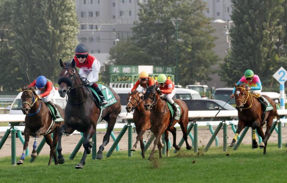 　ライバルを圧倒したショウナンガレオン（手前左）＝撮影・佐々木彰尚