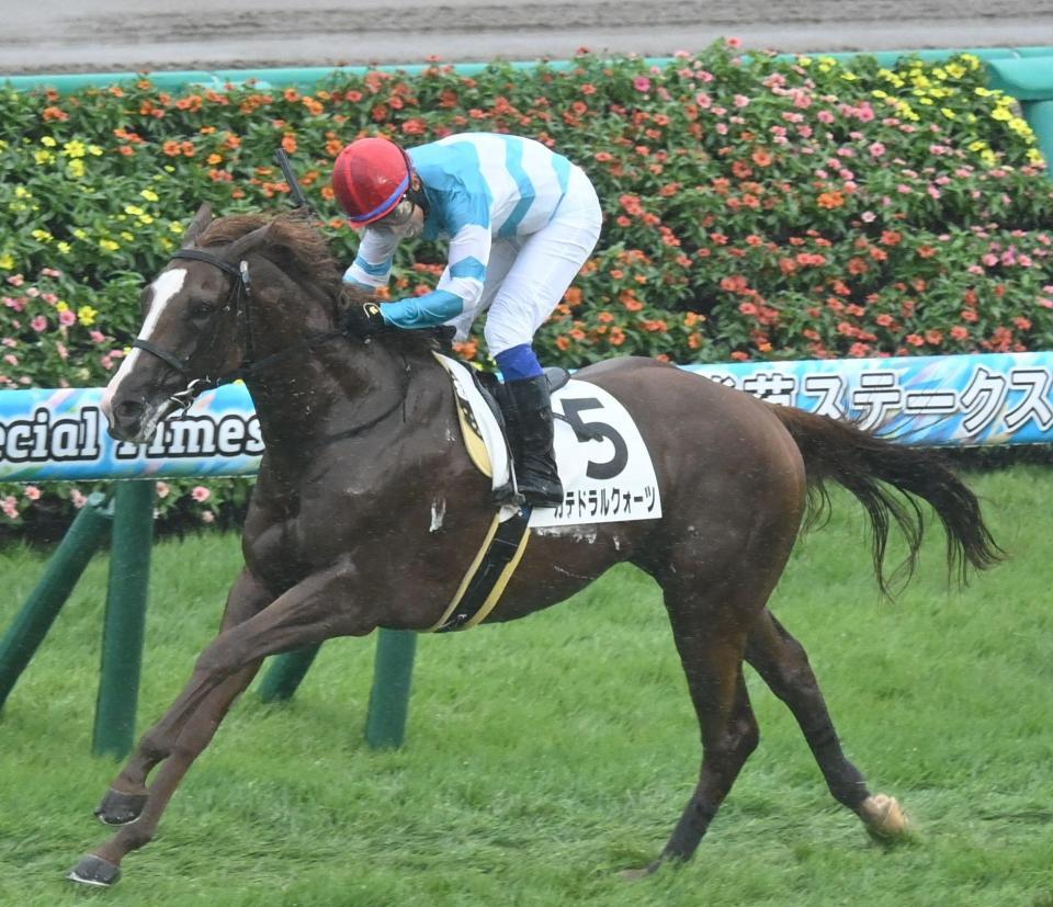 ７Ｒ・３歳未勝利を制したカテドラルクォーツ＝中山競馬場（撮影・園田高夫）
