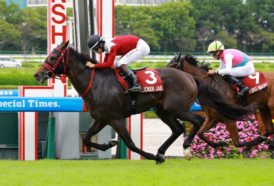 セントウルＳを制したフリッカージャブ（撮影・石湯恒介）