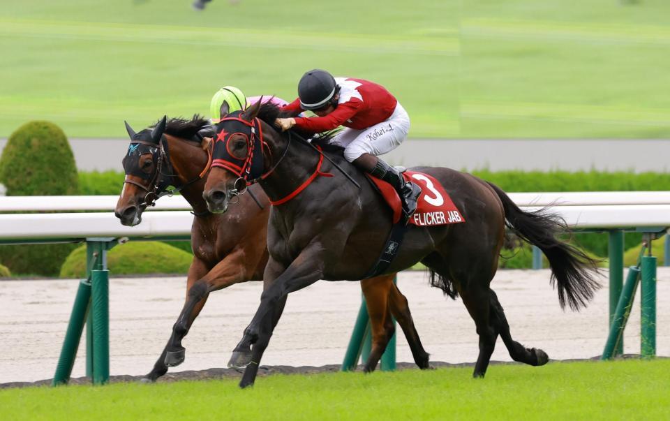逃げたピューロマジック（奥）を捉えるフリッカージャブ（撮影・石湯恒介）