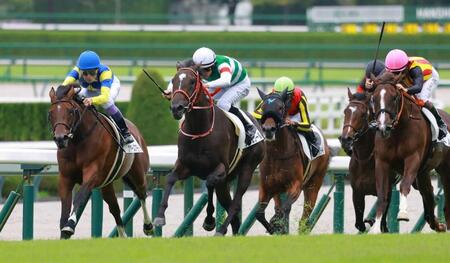 　新馬戦を快勝したリスグロワール（中央左）