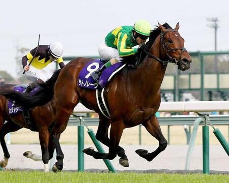 ２０２６年３月、高松宮記念を制したルメール騎乗のサトノレーヴ（右）