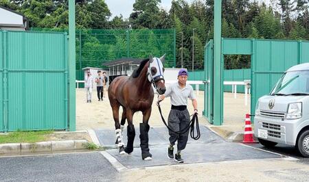 馬運車へ乗り込むメイショウタバル