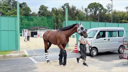 馬運車へ乗り込むメイショウタバル