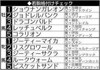 　夏の札幌開催終了時点での若駒格付けチェック表