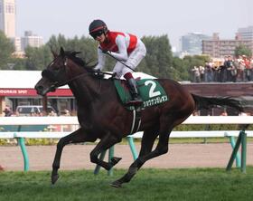 　札幌２歳Ｓを楽勝したショウナンガレオン