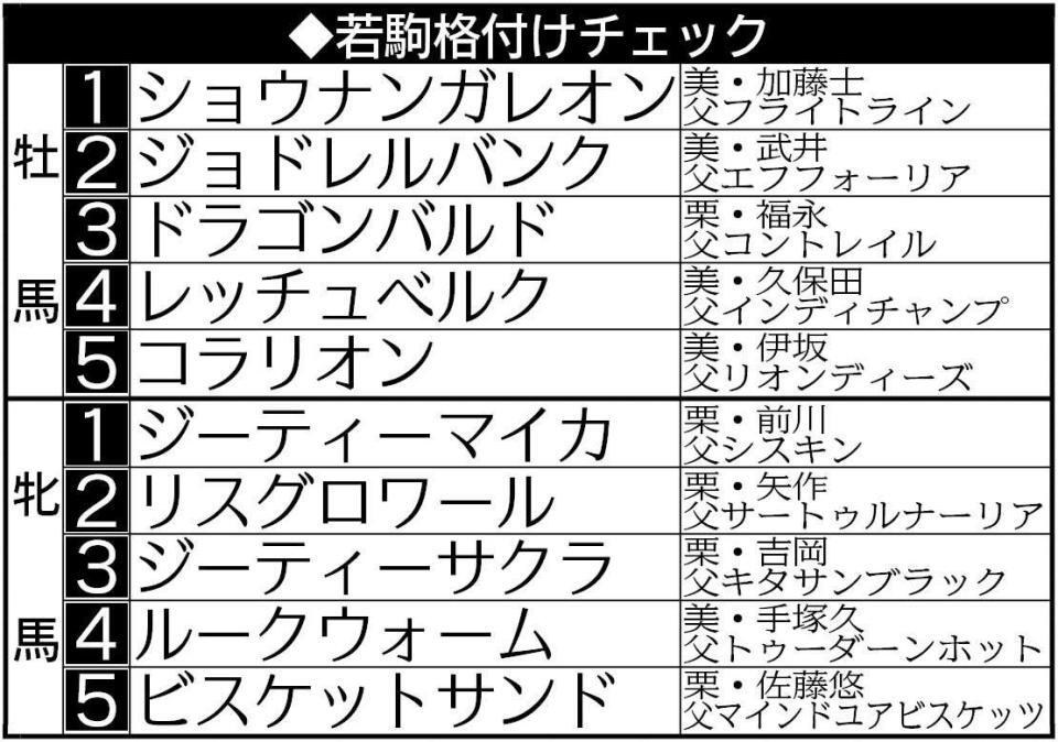 　夏の札幌開催終了時点での若駒格付けチェック表
