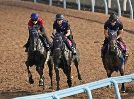 　持ち前の持続力を武器に重賞２勝目を狙うアウダーシア（左）＝撮影・持木克友