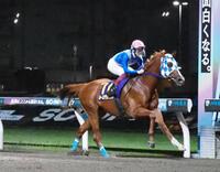 若武者賞を制したルースアグレッシブ