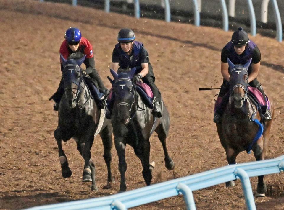 　持ち前の持続力を武器に重賞２勝目を狙うアウダーシア（左）＝撮影・持木克友