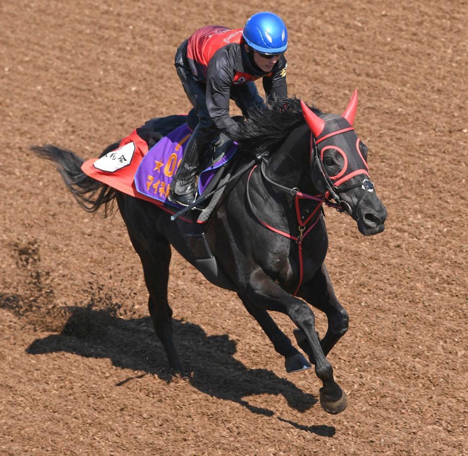 マイネルグロン