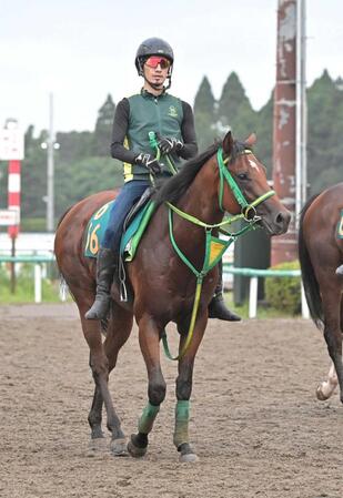 　調教で軽快な動きを連発するサトノハクマイ