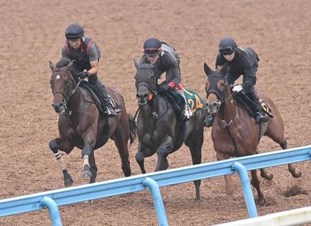 余力十分に美浦Ｗを駆け抜けたゴーイントゥスカイ（左）＝撮影・持木克友