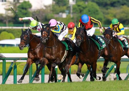 　直線で抜け出すジョバンニ（左から２頭目）＝撮影・石湯恒介