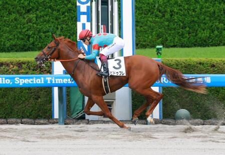 新馬戦を制したエピドゥブレ（撮影・石湯恒介）