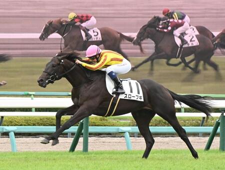 ２歳新馬戦を制したスローブギ（撮影・園田高夫）