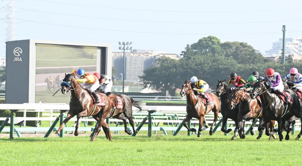 セントライト記念を制したジャスティンシカゴ（左）＝撮影・園田高夫