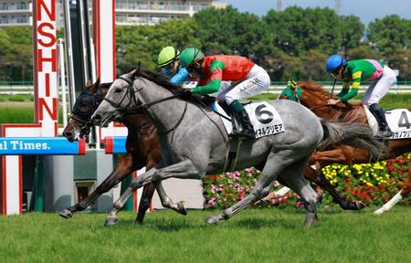 新馬戦を制したマイネルグリモア（手前）＝撮影・石湯恒介