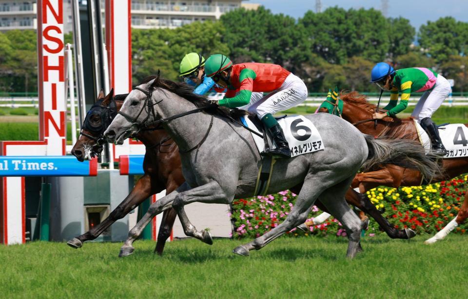 新馬戦を制したマイネルグリモア（手前）＝撮影・石湯恒介