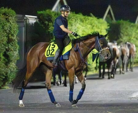 　驚異の末脚で連勝を狙うジーティーサクラ（撮影・石湯恒介）