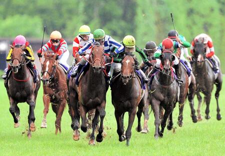 グランプリボス（中左）との死闘の末、安田記念を制したジャスタウェイと柴田善（中右）＝２０１４年６月８日