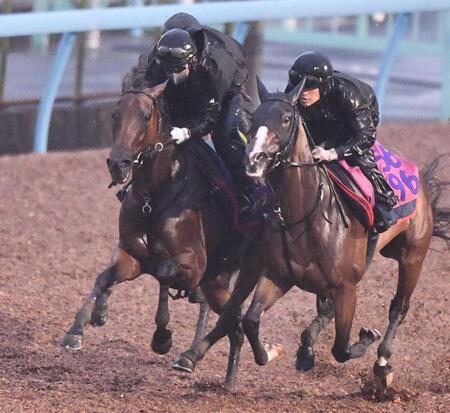 　３頭併せで活気十分の動きを見せたレガレイラ（左）＝撮影・園田高夫